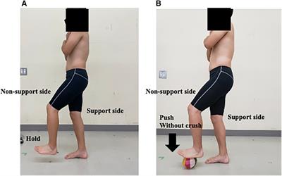 External focus instruction using a paper balloon: impact on trunk and lower extremity muscle activity in isometric single-leg stance for healthy males